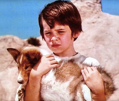 Lassie title 